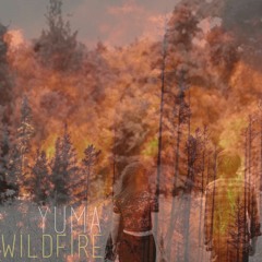 Wildfire