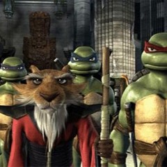 HERU - NINJA TURTLES