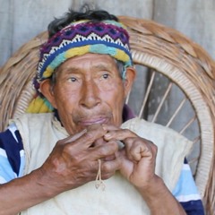 Galeano Suarez singing with a  Mimby, Pai Tavytera music instrument
