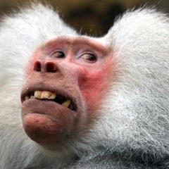 # 4 - Hiphop Klubben og Klub Piñata (Sæson 1)