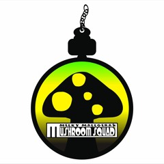 LIVE - MUSHROOM SQUAD - POSITIVE VIBRATION (marley Cover)