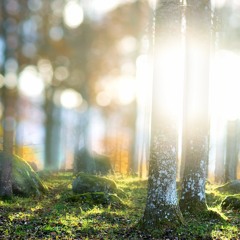 Half The Same Person