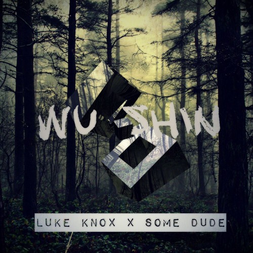 Wu Shin w/ Some Dude