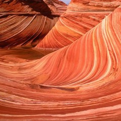 Woolley - Vermilion Suede