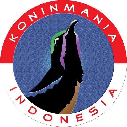 Konin Cililin New
