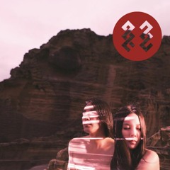 Olive Tree 橄欖樹