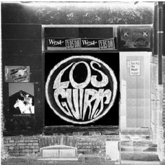 BLACK CAT FOLLOWING ME