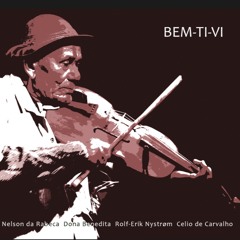 Nelson Da Rabeca / Dona Benedita / Rolf-Erik Nystrøm / Celio de Carvalho - Nem par ela