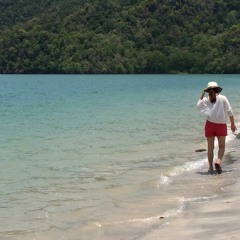 The Voyage - Amanda Cook (Acoustic Cover)