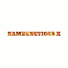 Rambunctious X presents Vol 4