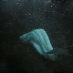 Transient Leviathans
