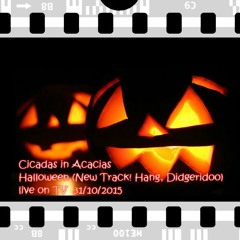 Cicadas in Acacias - Halloween (New Track Hang, Didgeridoo)