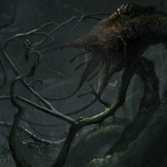 Lies For The Weak, Beacons For The Deluded