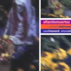 15 Seiz Piezas a Violeta  6-Amén