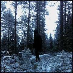 Сон смешного человека - Т​.​Н​.​Т. Т​.​Н​.​В.