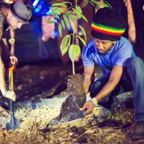 Reasons - Black Lightning