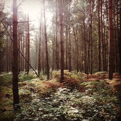 Joseph S Joyce – Default Position Podcast 007 – feat Terry Francis, Sebastian Mullaert + more