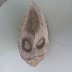 een;;;;;;; EV ;;;;;;;;;;een