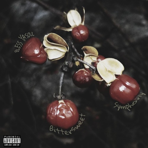 Bless Ya'Soul - Bittersweet (Prod by Omito Beats) [Thizzler.com]