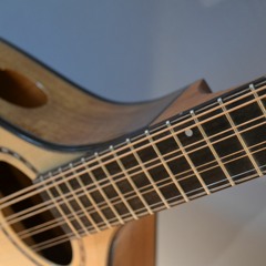 Red Spruce flat-top bouzouki, Koa body