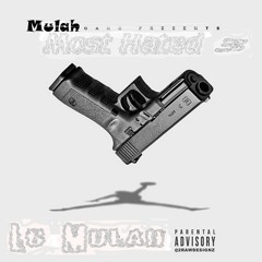 YRN Lingo & Quavo - Coming For Your Ice / @LbMulah