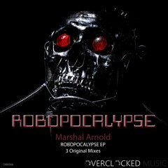 Marshal Arnold - Creative Insanity (Original Mix)