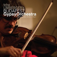 Cimbalom Solo - Tcha Limberger’s Budapest Gypsy Orchestra