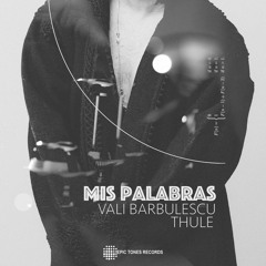 Vali Barbulescu & Thule - Mis Palabras Ft. White Trumpet  [Epic Tones Records]
