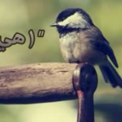 #أنشودة #هي_الجنة