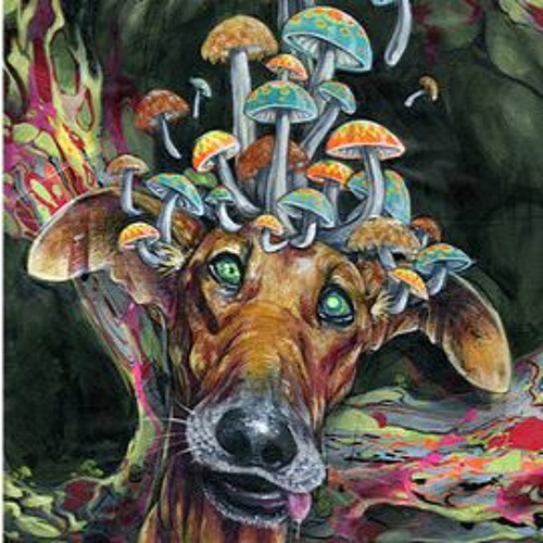 UnderDogs