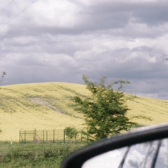 Lost Bus Routes and Pre-Election Rambles