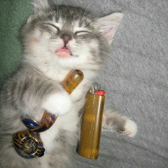 I MADE THIS BEAT AND I'M A CAT AND I SMOKE CAT PISS HAHAHAHA