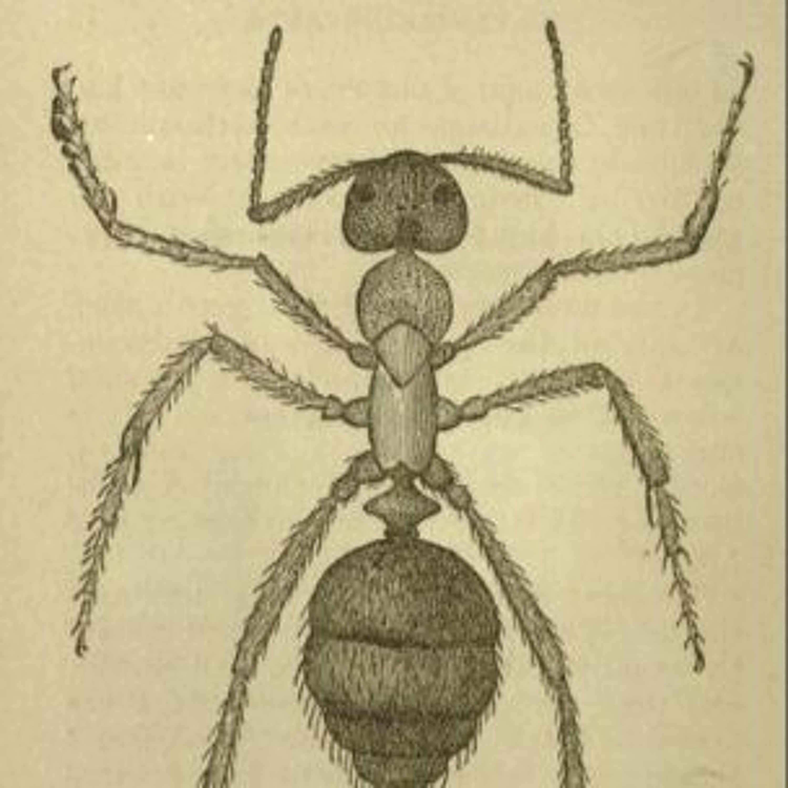 Historias Cienciacionales: el podcast