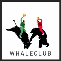 BTC Price Action play-by-play from WhaleClub TeamSpeak