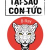 Tại Sao Con Tức - B Ray