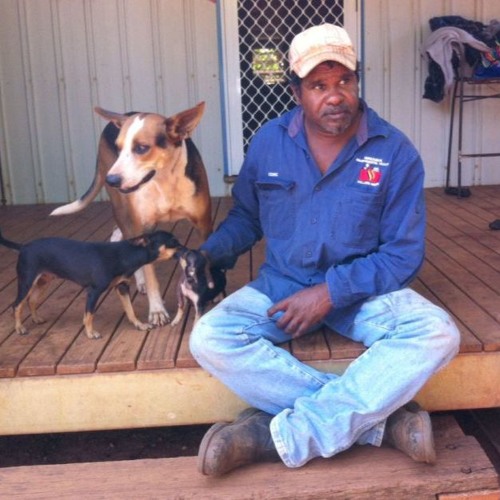 Call for action following fatal dog attack in remote Kimberley community