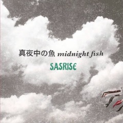 Midnight Fish - instrumental