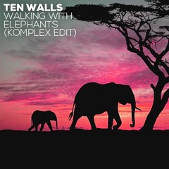 Ten Walls - Walking With Elephants (Komplex Edit)