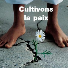 No Mix- Holly Zion - K'aza Mavozo Ny Amaray - Rec By Mister T