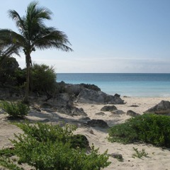 Tropics N' Tekno !