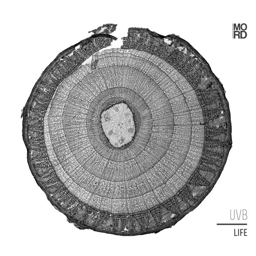 MORDLP001 - UVB - Life (previews)