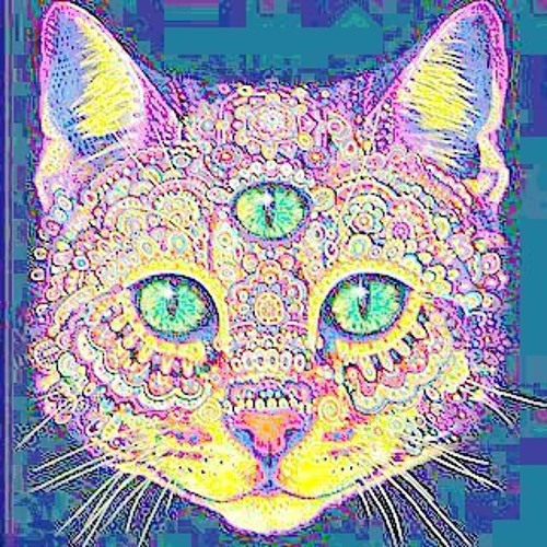 Cat Thrilled Chill