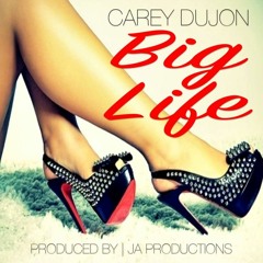 Carey Dujon - Big Life (Life Support Riddim Instrumental )