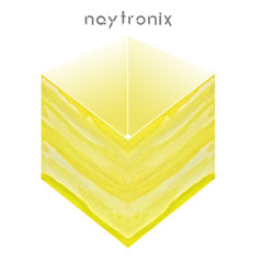 Naytronix - Back In Time (Money Mark Remix)