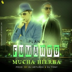 Fumando Mucha Hierba (Mix. by