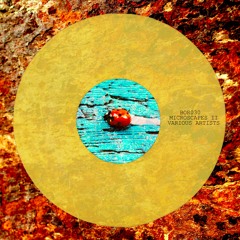 Elusive - Valerio Vaudano - Microscapes II