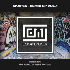 Skapes - I'm Going (Dub Pistols Remix) MST