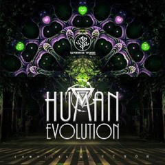 Synthetic Waves - preview ( VA - Human Evolution / Green Tree Rec )