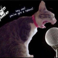 Jimmies Song