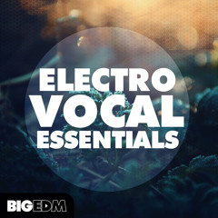 Big EDM - Electro Vocal Essentials [Vocal Samples, Loops, Shouts, FX Loops] Beatport top 10 !